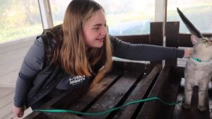 24 ЧАСА ПРЯТКИ НА ПЛЯЖЕ С КОТАМИ ПО ЗАПИСКАМ