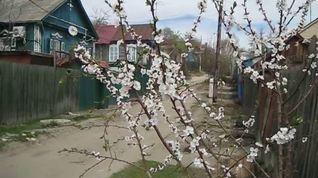 футаж Весна в деревне .Nature.Free footage. смотреть онлайн