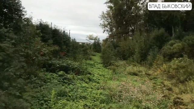 ЕСЛИ ПЕРЕЕЗЖАТЬ, ТО ТОЛЬКО СЮДА! Деревенская природа и городское удобство смотреть онлайн