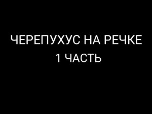 Черепухус на речке