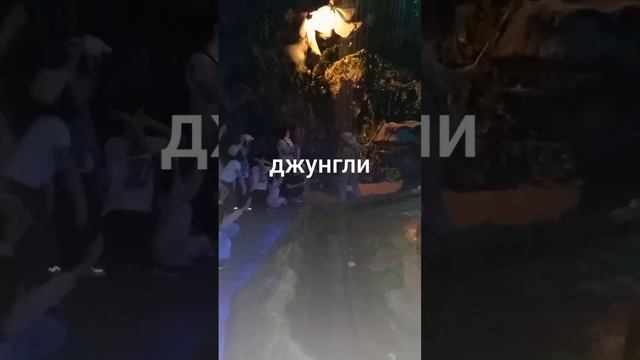 #астана Джунгли. смотреть онлайн