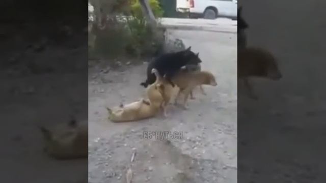 ###doc мммж смотреть онлайн