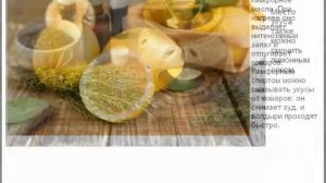 Лечем комариные укусы народными средствами