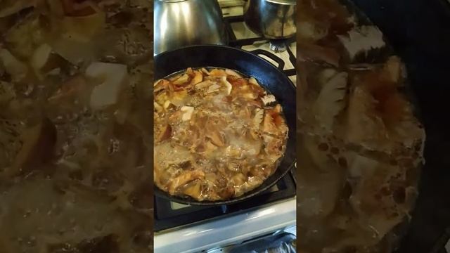 Жарю рыжики и желтушки смотреть онлайн