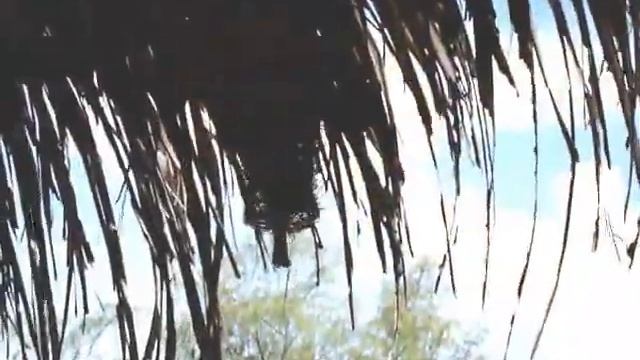 Остров Вамизи, Мозамбик смотреть онлайн