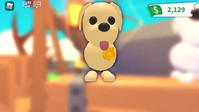 Почему я не выпускала видео? Adopt Me/Roblox смотреть онлайн