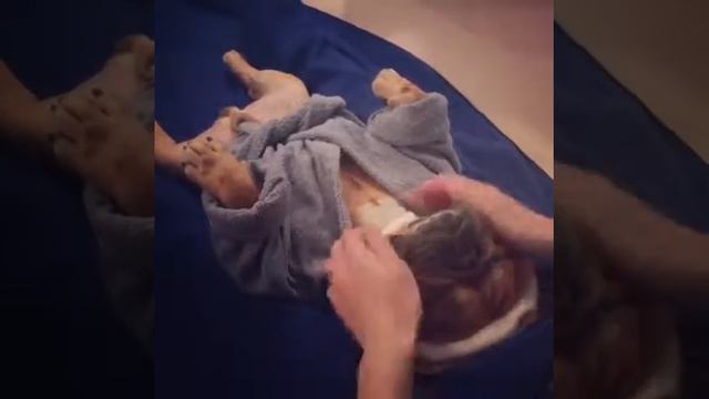 Шоб я так жил !!! смотреть онлайн
