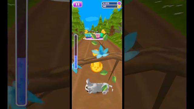 game-Dog run puppy racing смотреть онлайн
