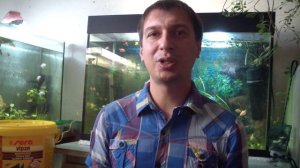 Лечение Ихтиофтириоза (манки) у аквариумных рыбок.