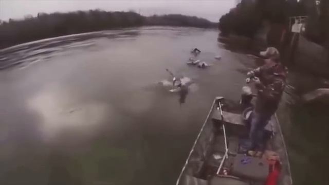 Приколы на рыбалке 1 смотреть онлайн
