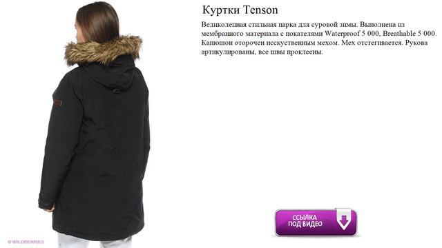 Куртки Tenson  парка стильная