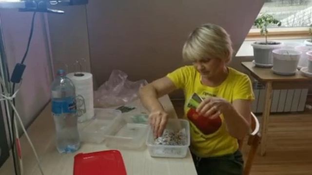 Сажаем микрозель дома! Кладезь витаминов зимой смотреть онлайн