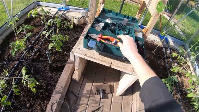 КАПЕЛЬНЫЙ ПОЛИВ В ТЕПЛИЦЕ СВОИМИ РУКАМИ #2 | монтаж и установка, прочистка и запуск после зимы смотреть онлайн