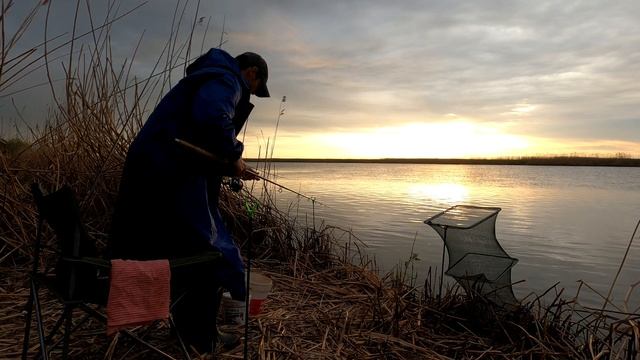 РЫБАЛКА В АСТРАХАНИ 2022. РЕКА БОЛЬШАЯ ЧЕРНАЯ. КЛЕВ ВОБЛЫ, ЛЕЩА И НЕ ТОЛЬКО. 1 ЧАСТЬ. 4К смотреть онлайн