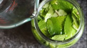 Как вывести человека из ЗАПОЯ в домашних условиях БЫСТРО!!!