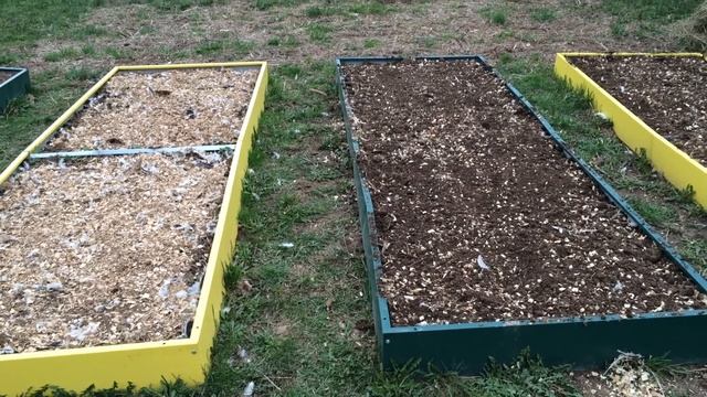 Морковка в опилках смотреть онлайн