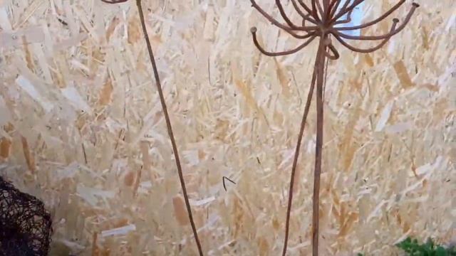 Фестиваль Сады и люди на ВДНХ смотреть онлайн