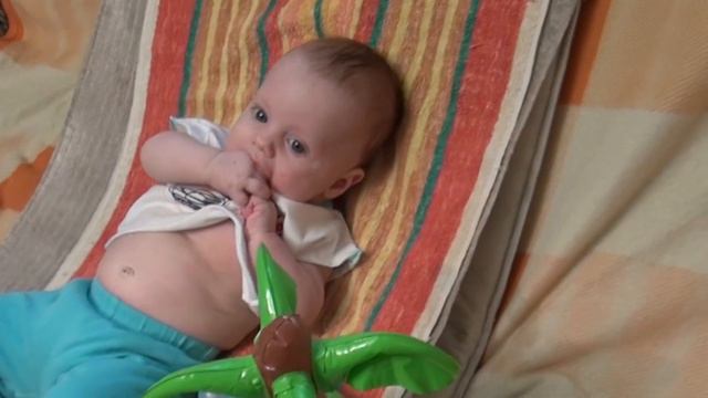 Отдых и пальмы смотреть онлайн