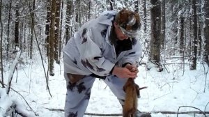 охота на куницу снятие шкуры.