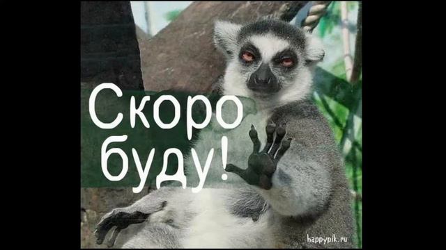 Elden Ring №20 Мог повелитель крови и путь к Малении смотреть онлайн