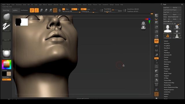 How To Sculpt A Female Face In Zbrush