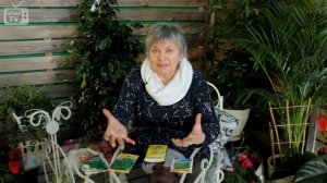 Петрушка ✅ Виды и особенности сортов ✅ Видеообзор