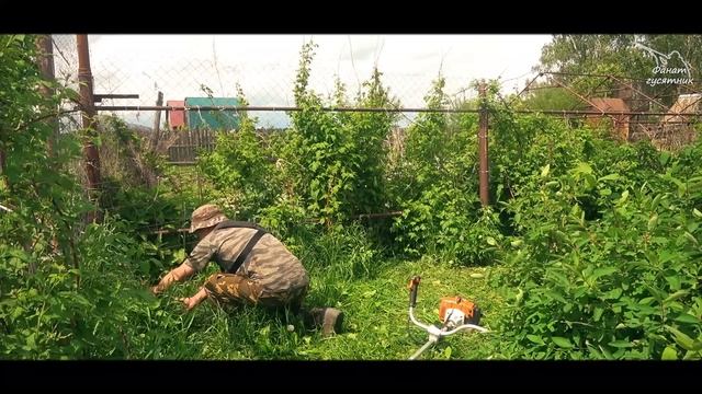 Подсадные гуси / ДВЕ ГУСЫНИ ЗАГНЕЗДИЛИСЬ ! смотреть онлайн