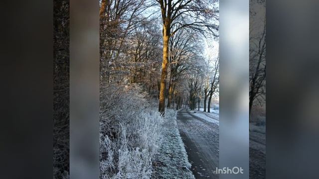 Стихотворение Н. М. Артюховой "Белый дед" смотреть онлайн