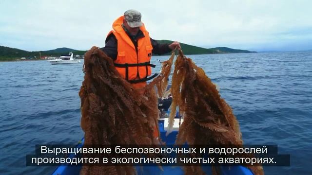 Научно-производственный центр марикультуры ВНИРО смотреть онлайн