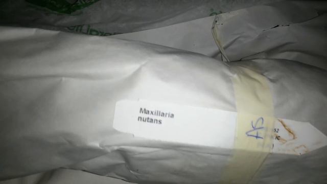 Очень Классная посылка от Дистрибьютор с Эквадора на территории ЕС смотреть онлайн