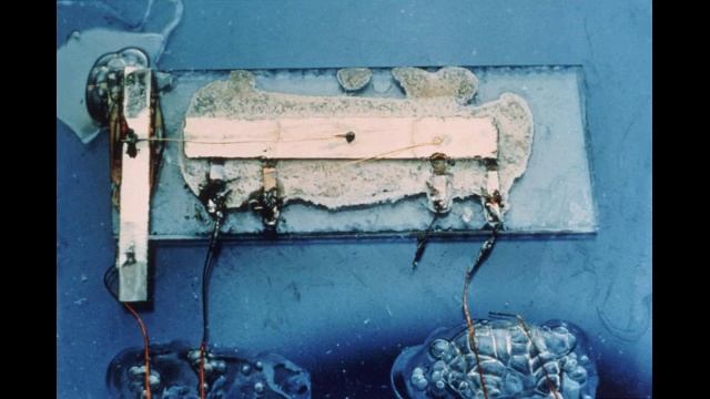 Урок 1. История развития ЭВМ. смотреть онлайн