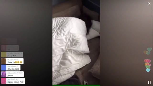 Микус порвал волосы своей любимой / Перископ Микуса 2016 на TopPeriscope.Ru смотреть онлайн