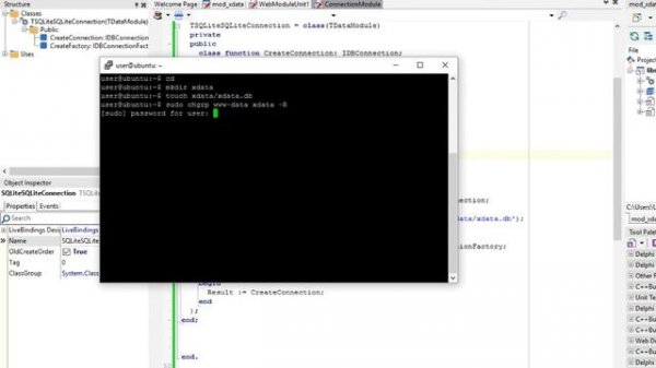 Creating a REST Server on Apache Linux using Delphi and TMS XData - Part 5: TXData/Aurelius server