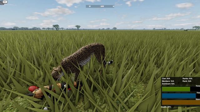 new update in Wild Savannah смотреть онлайн