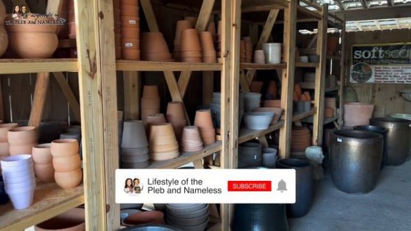 BIG BOX Plant Shop w/Us! + RARE Wishlist Plant Finds! | Lowe's & Good Earth | Lake Charles, LA