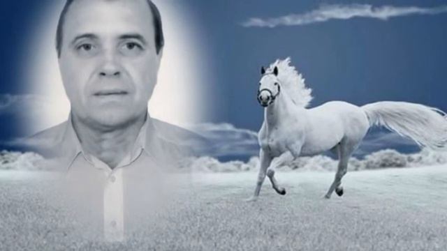 территория любви смотреть онлайн
