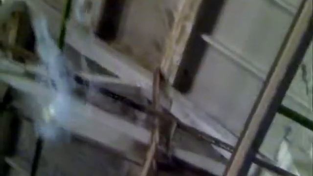 Пушинка DETECTED смотреть онлайн