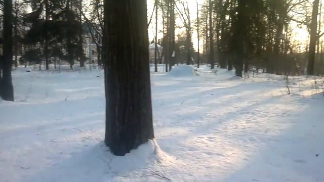Усадьба Андреевское. Парк смотреть онлайн
