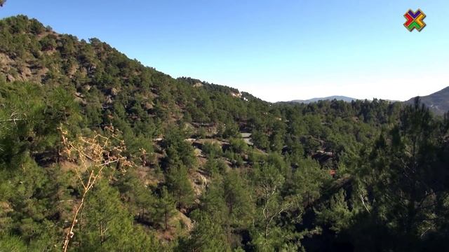 История успеха. Лира Амвросиду смотреть онлайн