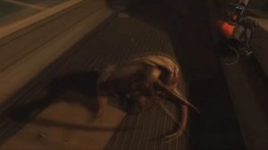 КАК УВЕЛИЧИТЬ FPS И ИЗБАВИТЬСЯ ОТ ЛАГОВ В HALF - LIFE: ALYX