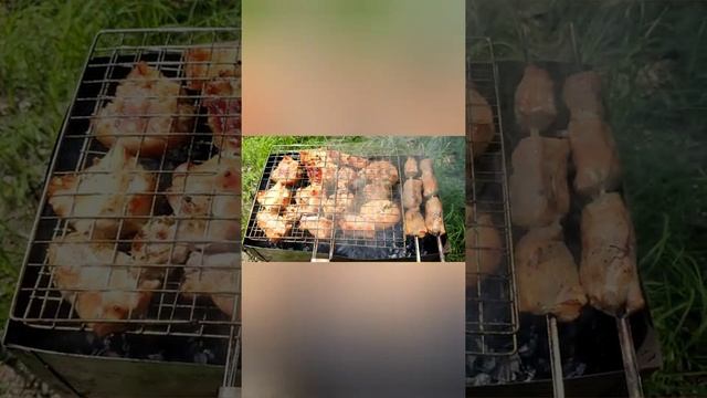 скорлупа от грецкого ореха, шашлык на ней смотреть онлайн