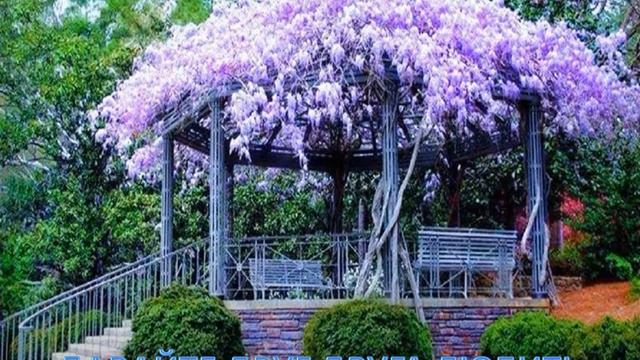 Давайте друг друга любить смотреть онлайн