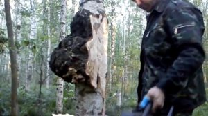 как я добывал сувель