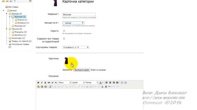 Как сменить изображение категории в магазине InSales смотреть онлайн