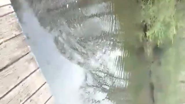 Карп на фидер с Китая. смотреть онлайн