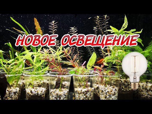 НОВОЕ ОСВЕЩЕНИЕ В ГУППЯТНИКЕ смотреть онлайн