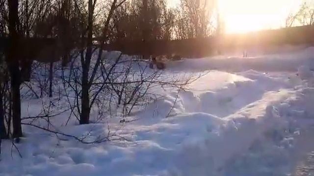 питбайк с гусеницей смотреть онлайн