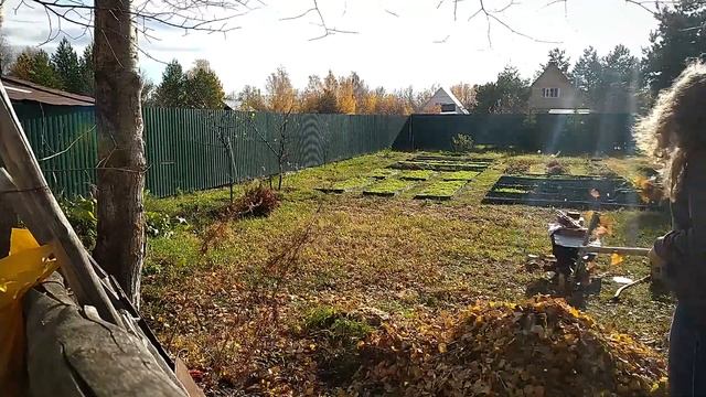 Опавших листьев маленький мир так манит нырнуть в осенний огонь ?Уборка листвы. Дачный ASMR. смотреть онлайн