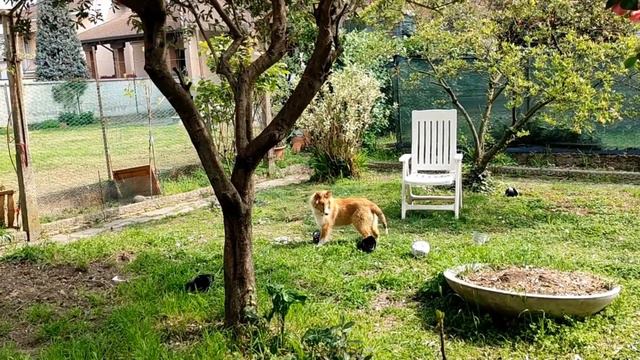 ОПС НЕ ТО ВЗЯЛА / ЗАЧЕМ Я СНИМАЮ)) ГАЛИНКА ИТАЛИЯ смотреть онлайн