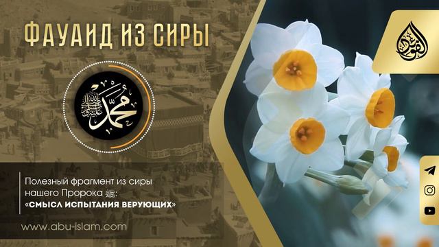 Смысл испытания верующих — Абу Ислам аш-Шаркаси смотреть онлайн